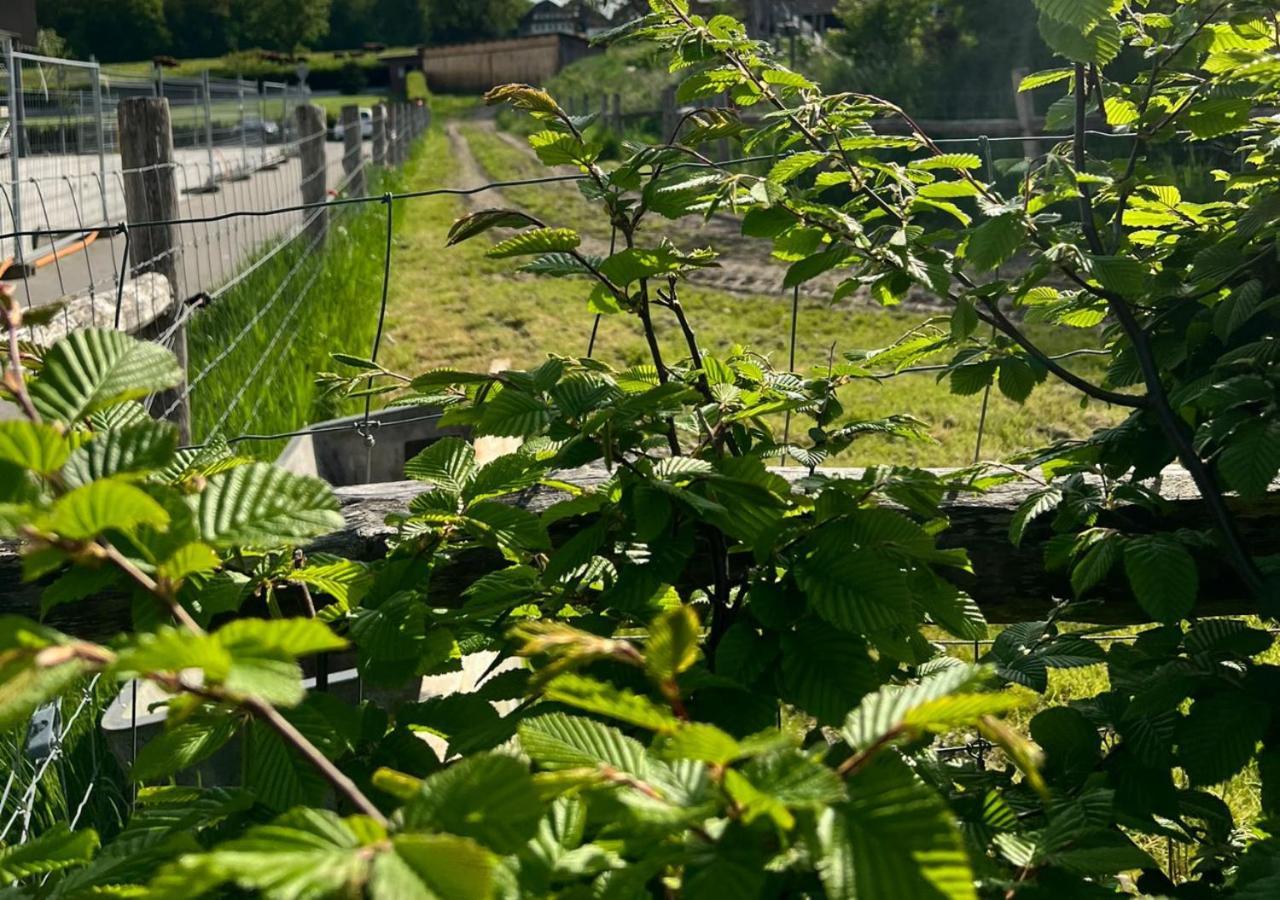 Ferienhaustraume Oase Bodensee Kreuzlingen Exterior foto